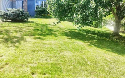 Photo of Donna C.'s yard after getting lawn care in Saint Michael, MN