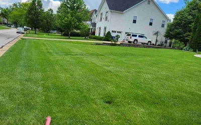 Photo of Kaylee K.'s yard after getting lawn care in Overland, MO