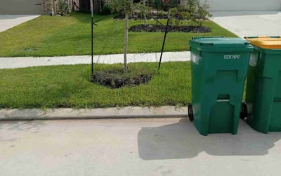 Photo of Amelia K.'s yard after getting lawn care in Porter, TX
