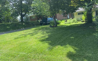 Photo of Annette G.'s yard after getting lawn care in Morgan Hill, CA