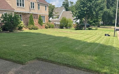 Photo of Tom S.'s yard after getting lawn care in Westminster, CO