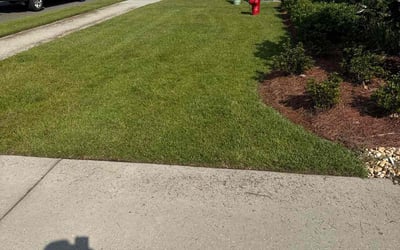 Photo of D G.'s yard after getting lawn care in Gonzales, LA