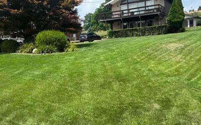 Photo of Benigno G.'s yard after getting lawn care in Elizabeth, PA