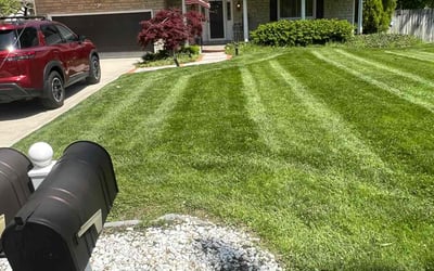 Photo of Kimberly L.'s yard after getting lawn care in Clermont, FL
