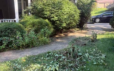 Photo of Romana L.'s yard after getting lawn care in Saddle Brook, NJ