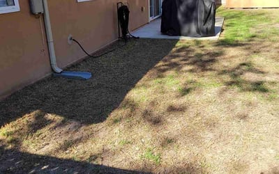 Photo of Abriana N.'s yard after getting lawn care in Lexington, MA