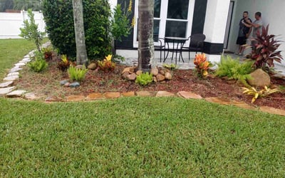 Photo of Edna W.'s yard after getting lawn care in Rex, GA