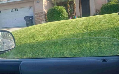 Photo of Christian L.'s yard after getting lawn care in Banning, CA