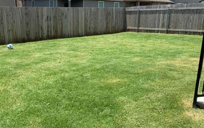 Photo of Michael S.'s yard after getting lawn care in Fresh Meadows, NY