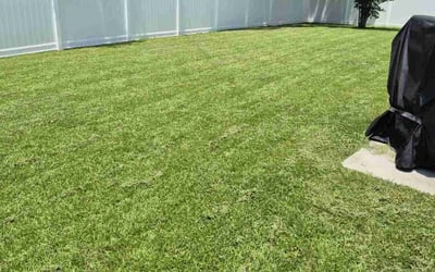 Photo of Paul D.'s yard after getting lawn care in Myrtle Beach, SC