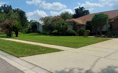 Photo of Dennis B.'s yard after getting lawn care in Summerfield, FL
