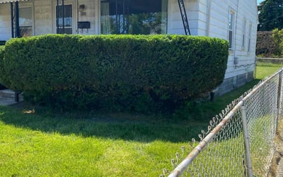 Photo of Denise T.'s yard after getting lawn care in Swartz Creek, MI