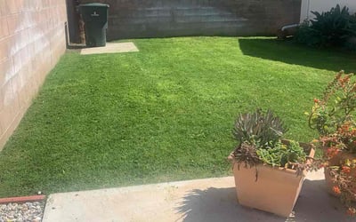 Photo of Tom R.'s yard after getting lawn care in Crestline, CA