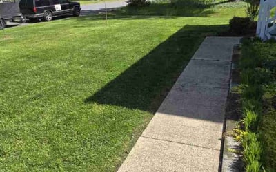 Photo of Walt M.'s yard after getting lawn care in East Chicago, IN