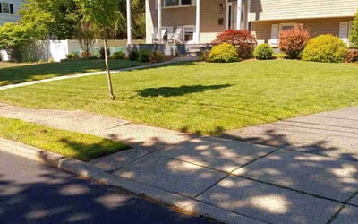 Photo of Jess F.'s yard after getting lawn care in Paramus, NJ
