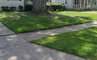 Photo of Elizabeth S.'s yard after getting lawn care in North Olmsted, OH