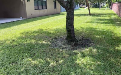Photo of Melissa P.'s yard after getting lawn care in Spring Hill, FL
