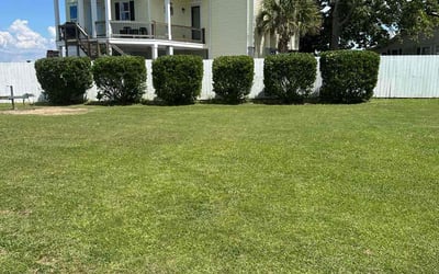 Photo of Brittany T.'s yard after getting lawn care in Camden, SC