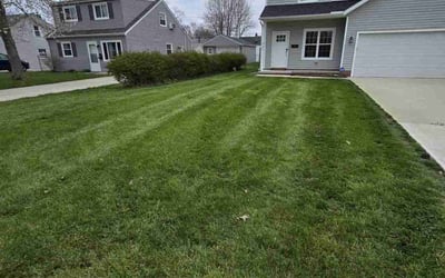 Photo of Carla P.'s yard after getting lawn care in Eastlake, OH