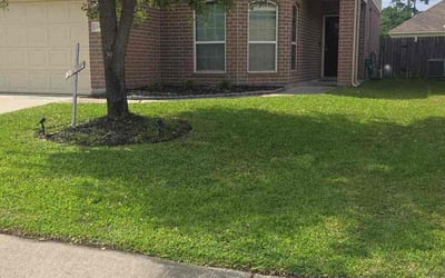 Photo of Joshua G.'s yard after getting lawn care in Spring, TX