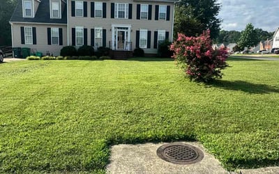 Photo of Katie G.'s yard after getting lawn care in Ruther Glen, VA