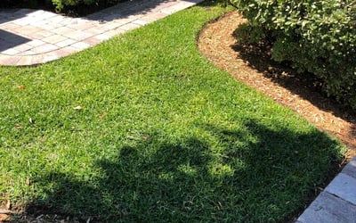 Photo of Ethan E.'s yard after getting lawn care in Atlantic Beach, FL