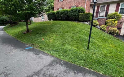 Photo of Izora A.'s yard after getting lawn care in Montgomery Village, MD