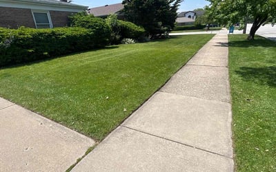 Photo of Brian H.'s yard after getting lawn care in Grand Blanc, MI