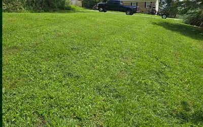 Photo of Suzanne L.'s yard after getting lawn care in Lagrange, OH