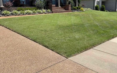 Photo of Mike B.'s yard after getting lawn care in Hernando, MS