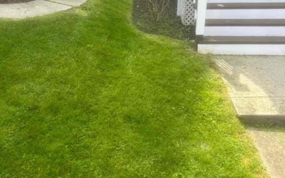 Photo of George S.'s yard after getting lawn care in Slippery Rock, PA