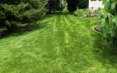 Photo of Keith T.'s yard after getting lawn care in Groveport, OH