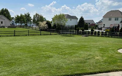 Photo of Jessica G.'s yard after getting lawn care in Toledo, OH