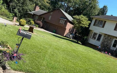 Photo of Gerri O.'s yard after getting lawn care in Stone Mountain, GA