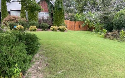 Photo of Laura M.'s yard after getting lawn care in Buford, GA