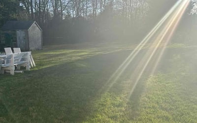 Photo of Tom S.'s yard after getting lawn care in Brookline, MA