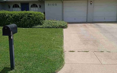 Photo of Tammi M.'s yard after getting lawn care in Saginaw, TX