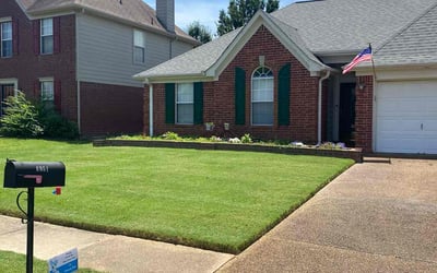 Photo of Deborah P.'s yard after getting lawn care in Covington, TN