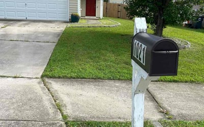 Photo of Walter D.'s yard after getting lawn care in Dewitt, MI