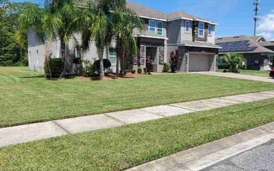 Photo of Brandon D.'s yard after getting lawn care in Tampa, FL