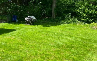Photo of Mirella E.'s yard after getting lawn care in East Hartford, CT