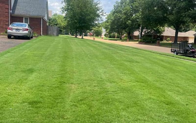 Photo of Lenny H.'s yard after getting lawn care in Collierville, TN