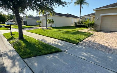 Photo of Luther P.'s yard after getting lawn care in Wellington, FL