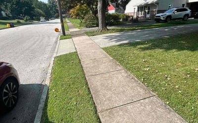 Photo of Ashley A.'s yard after getting lawn care in Clinton, MA