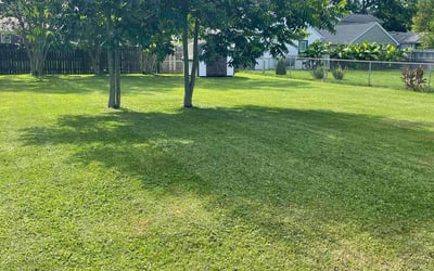 Photo of Stori F.'s yard after getting lawn care in Eagle Mountain, UT
