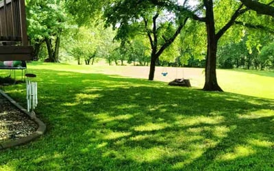 Photo of Earl H.'s yard after getting lawn care in Webster, MA