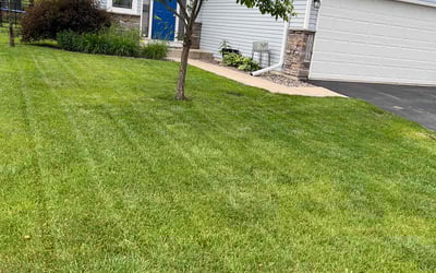 Photo of Taylor C.'s yard after getting lawn care in Buffalo, MN