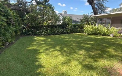 Photo of Satarrah W.'s yard after getting lawn care in Valrico, FL