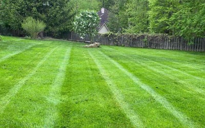 Photo of Dakota F.'s yard after getting lawn care in Painesville, OH