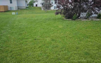 Photo of Tracy M.'s yard after getting lawn care in Marion, IA